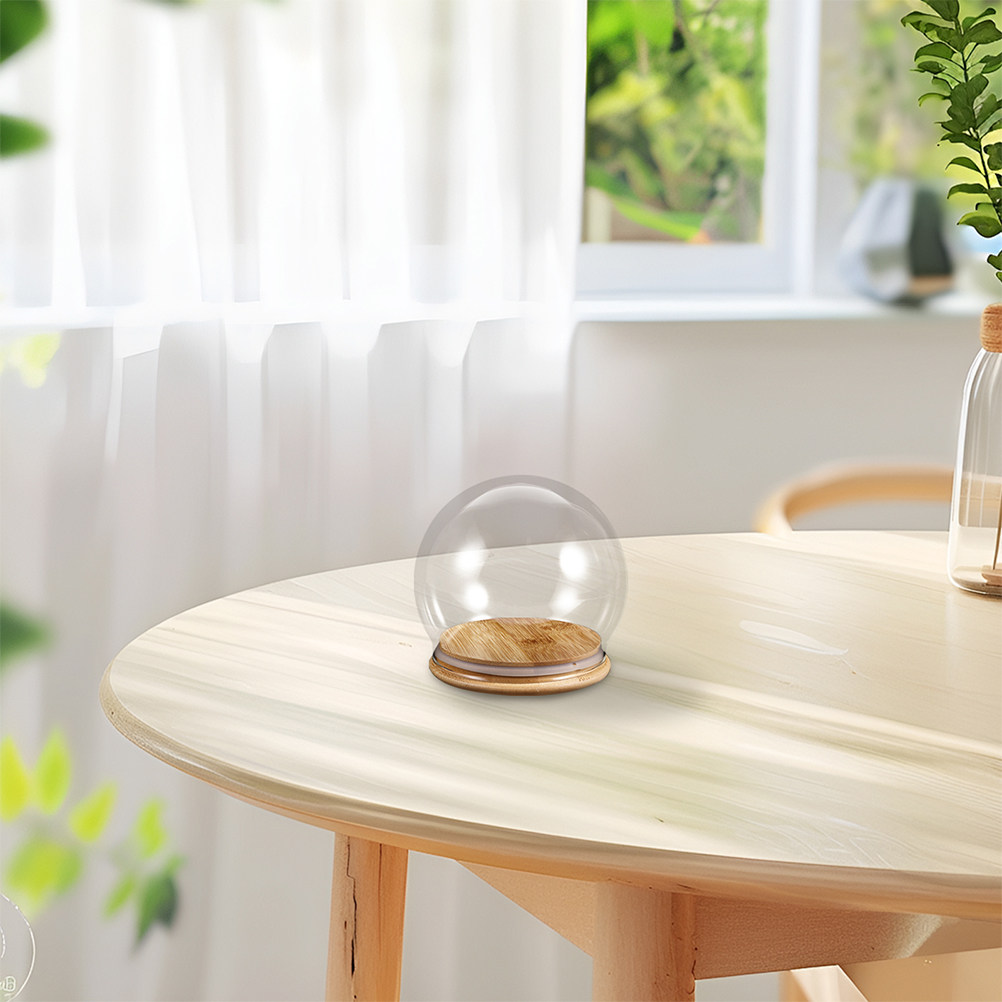 Lot de 2 cloches en verre tran - Plastic Dome Clear avis et prix