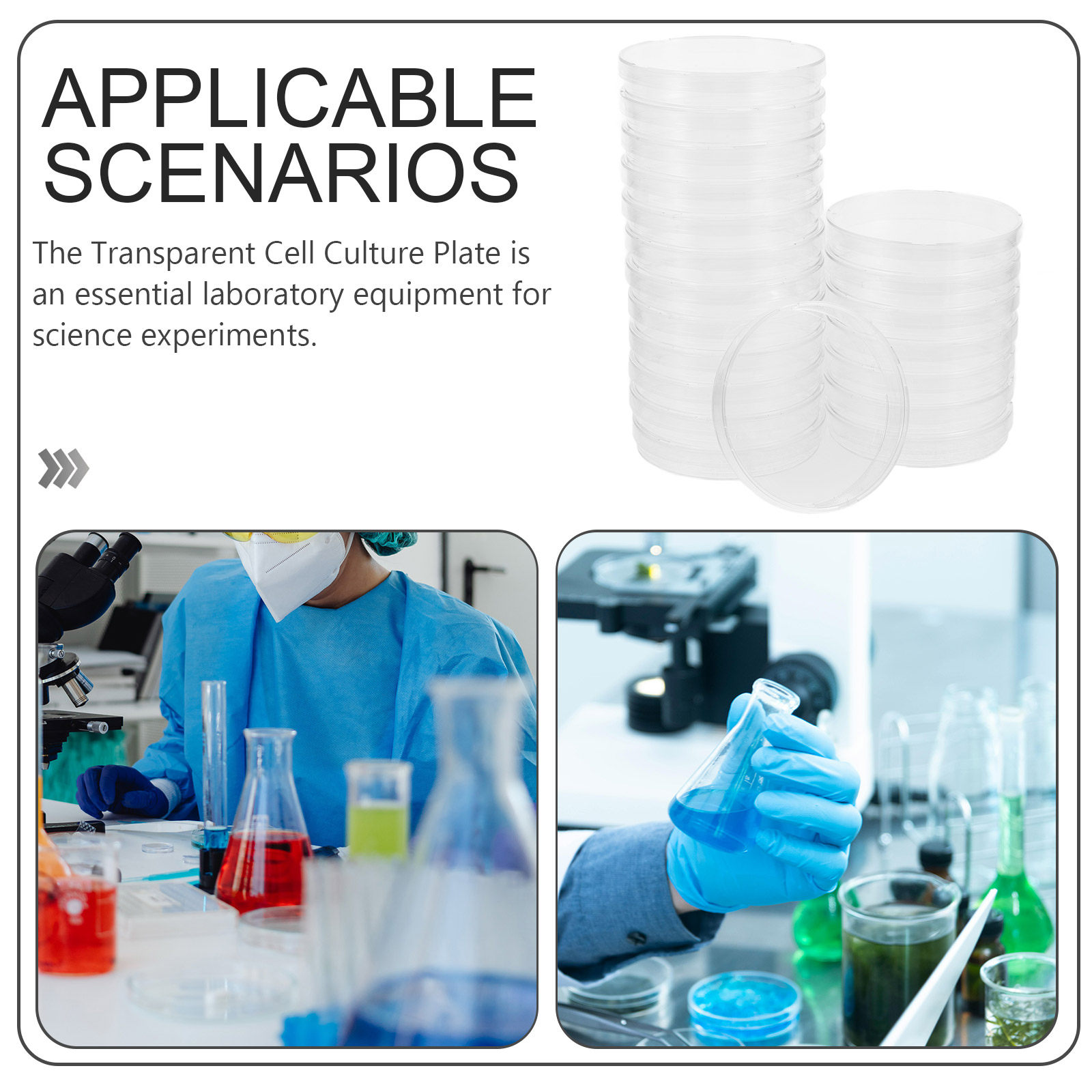 20 Pièces de Boîtes de Pétri S - Agar Tissue Culture avis et prix